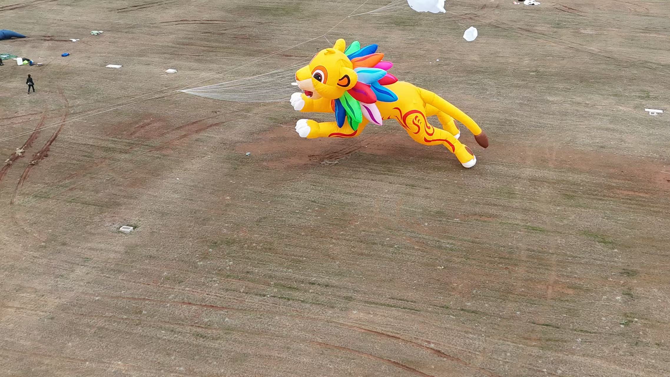固原市品牌风筝定制风筝定制 - 一站式服务